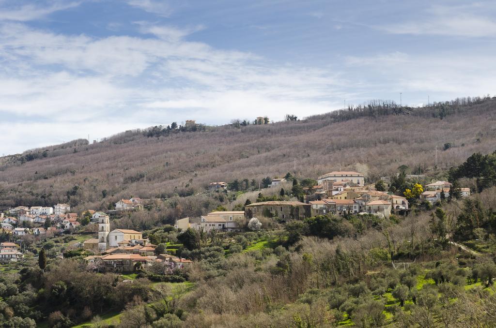 Laureana CilentoAl Casale Dei Nonni住宿加早餐旅馆 外观 照片